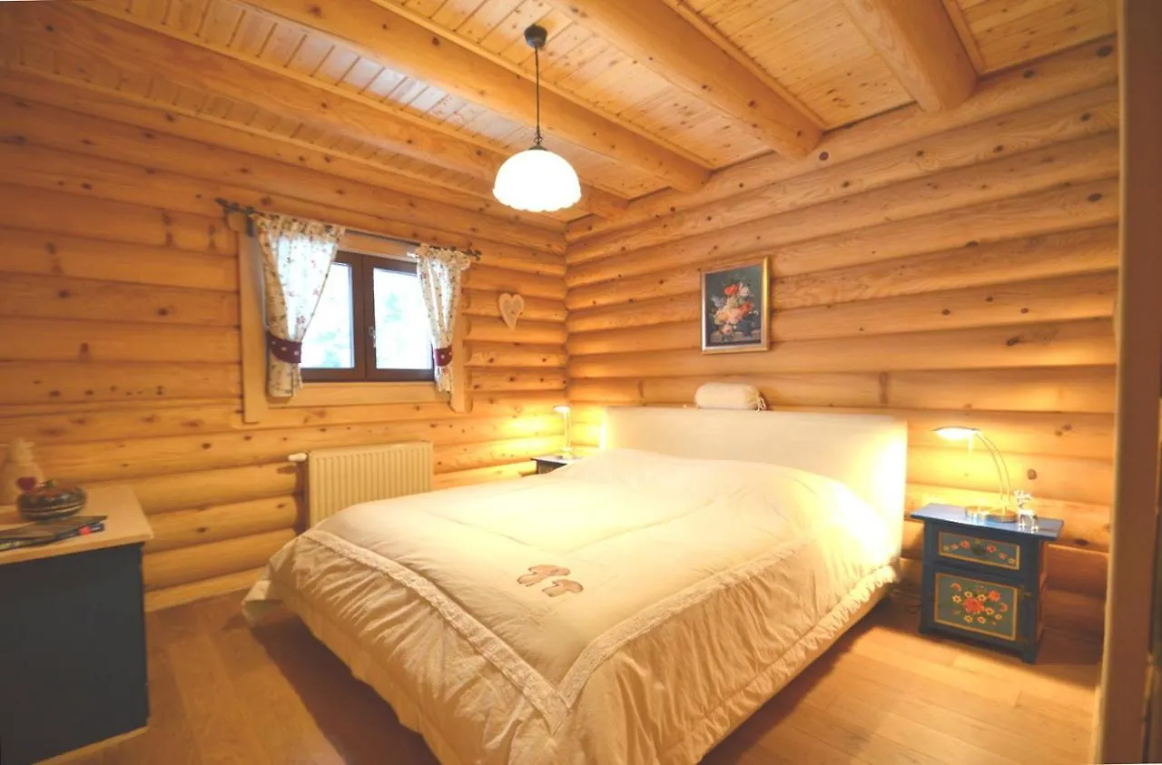 Chalet Mit 7.000 M2 Land Und Wunderschoene Aussicht Skrad