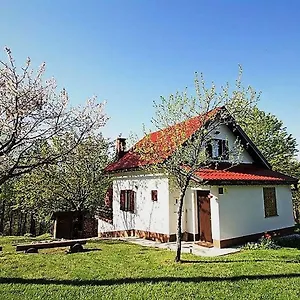 Coprnicka Hisa Vikendica